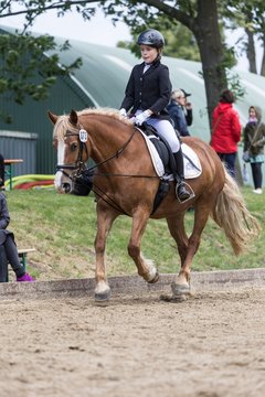 Bild 241 - Pony Akademie Turnier